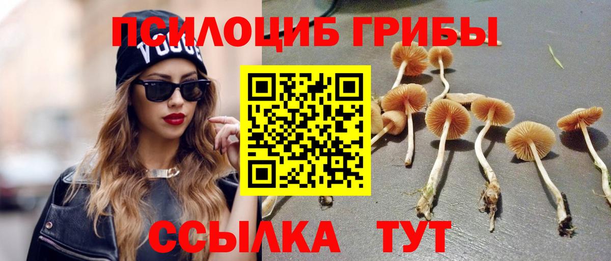 Псилоцибиновые грибы Psilocybe Кушва