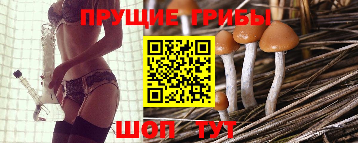 Кушва  Галлюциногенные грибы GOLDEN TEACHER  даркнет сайт  Вход с VPN 