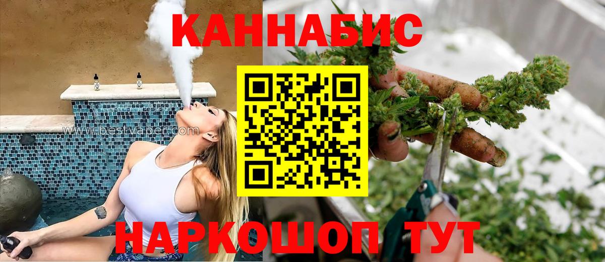 Канабис OG Kush  Марихуана сатива  Конопля план  Кушва  Вход с VPN 